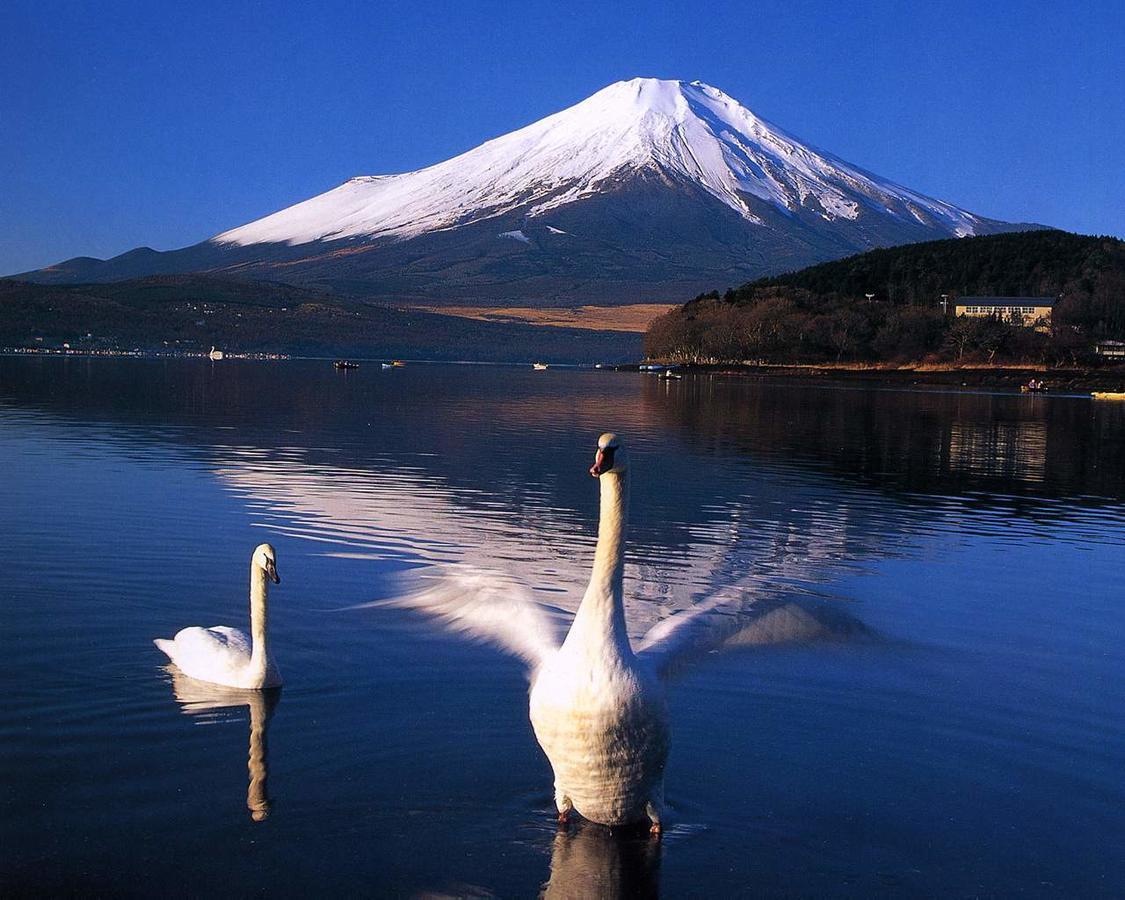 Resort Inn Golf Gotemba (Adults Only) Экстерьер фото